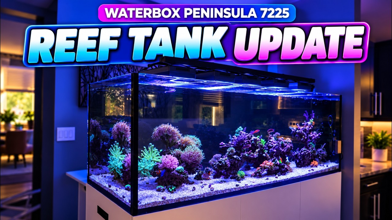 Обновление рифового аквариума Waterbox Peninsula 7225