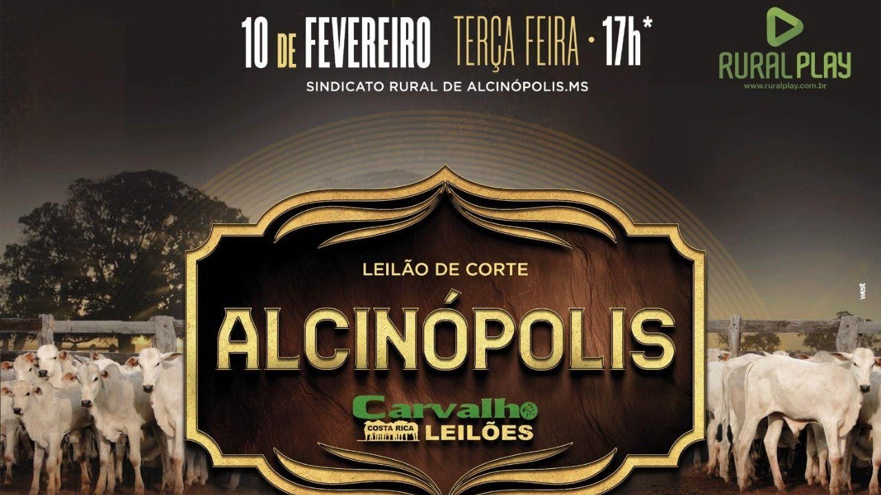 64° LEILÃO DE CORTE CARVALHO LEILÕES - ALCINÓPOLIS/MS - RURAL PLAY
