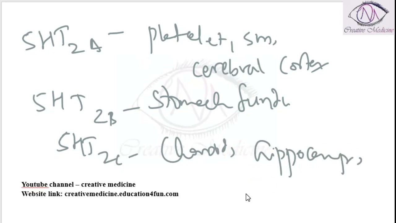 Lec 3 Serotonin Receptors   5 HT2
