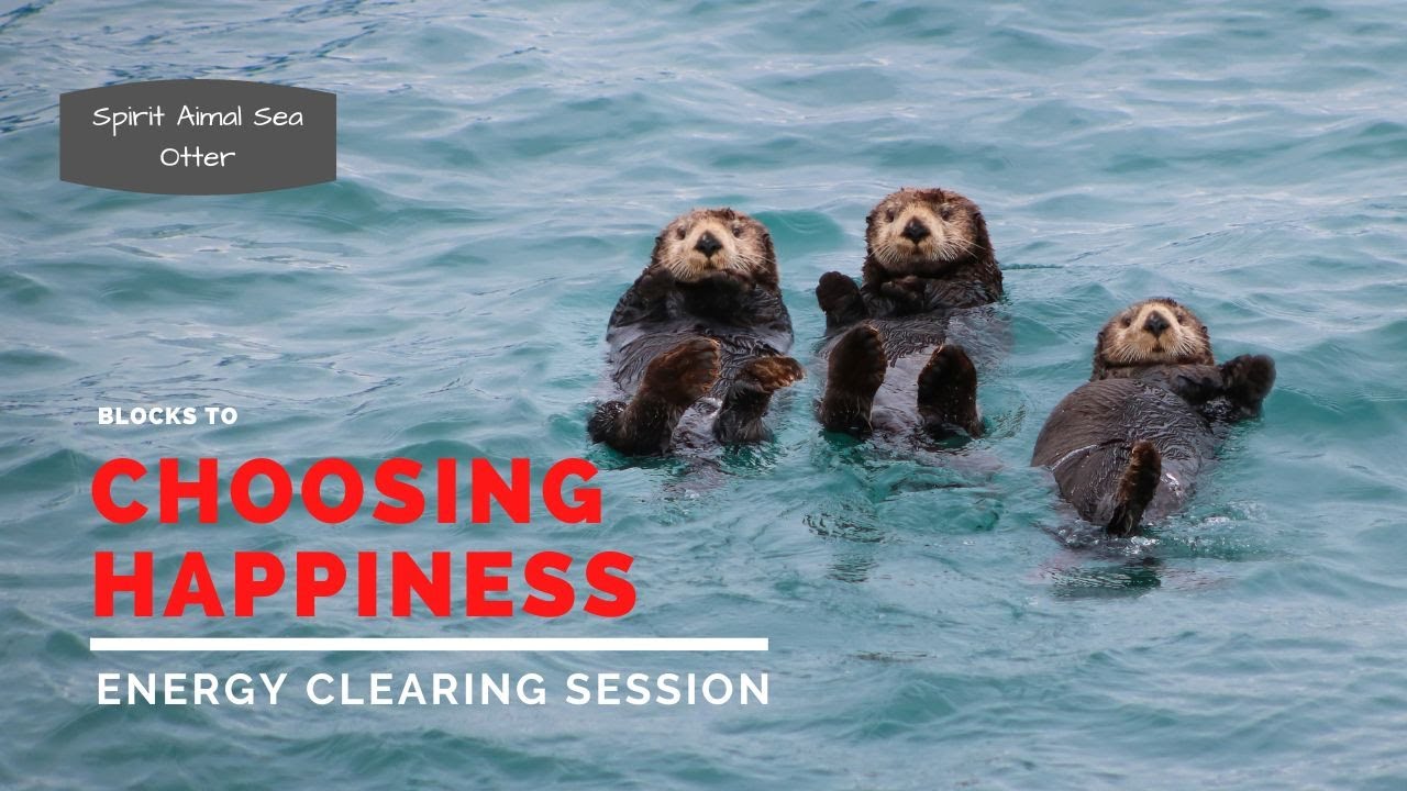 Clear Your Blocks to Choosing Happiness  | Robin Yates