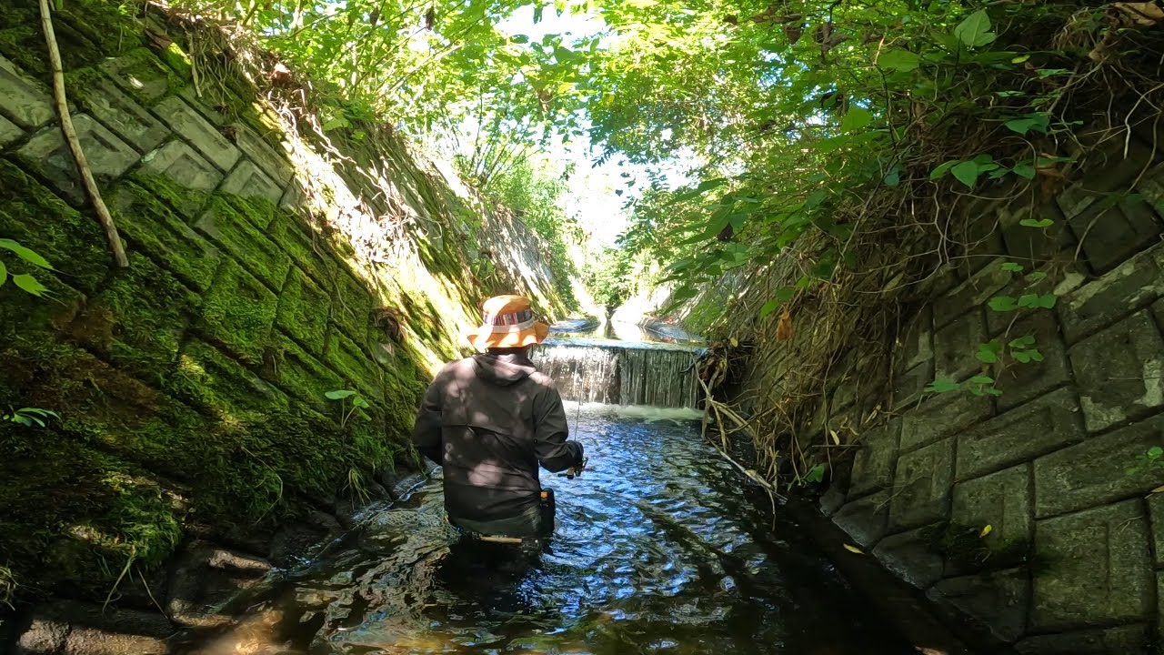 秘密の水路があるようです