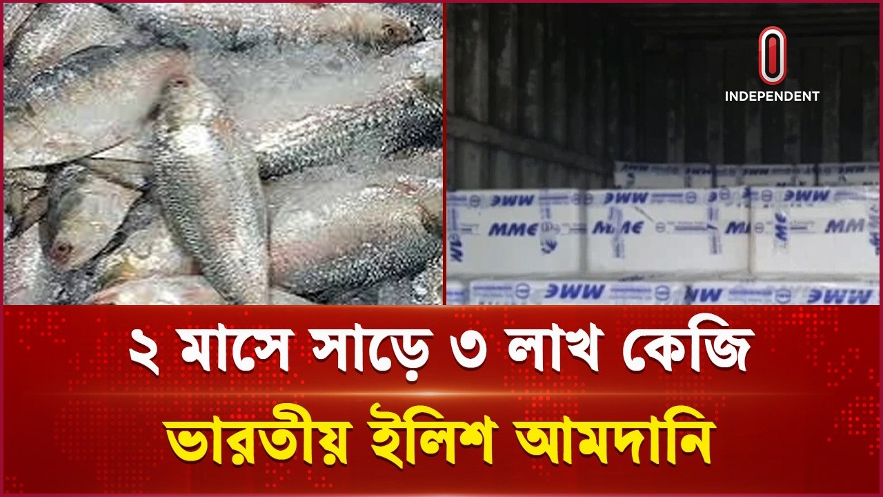 ২ মাসে সাড়ে ৩ লাখ কেজি ভারতীয় ইলিশ আমদানি | Fish | Independent TV