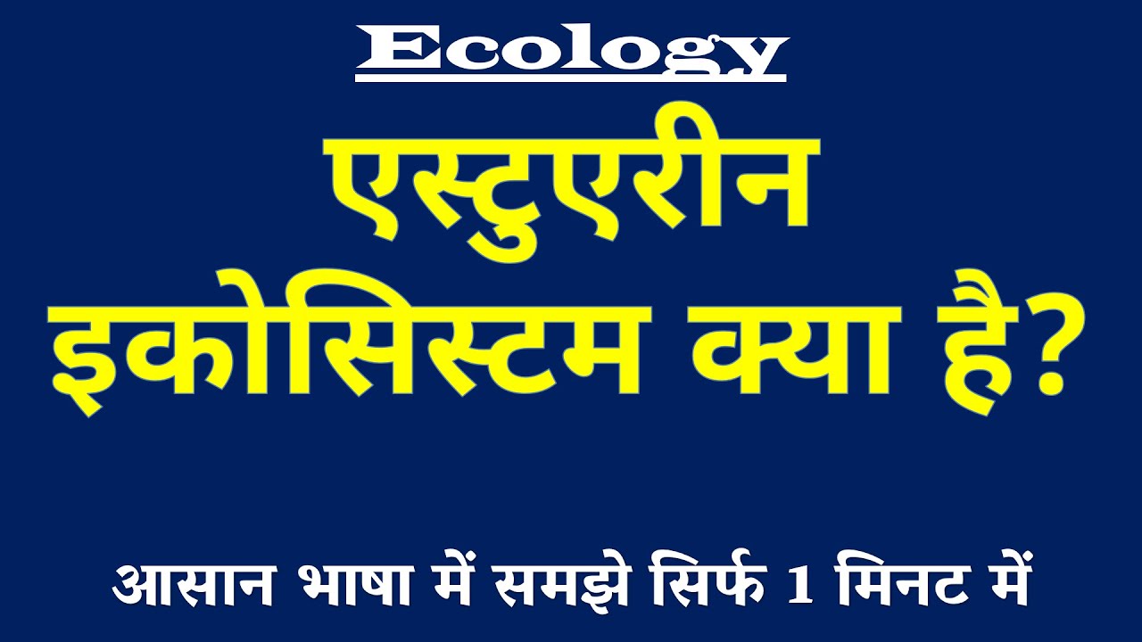 Estuarine Ecosystem (एस्टुएरीन इकोसिस्टम) क्या है? | Where River Meets Sea 🦀