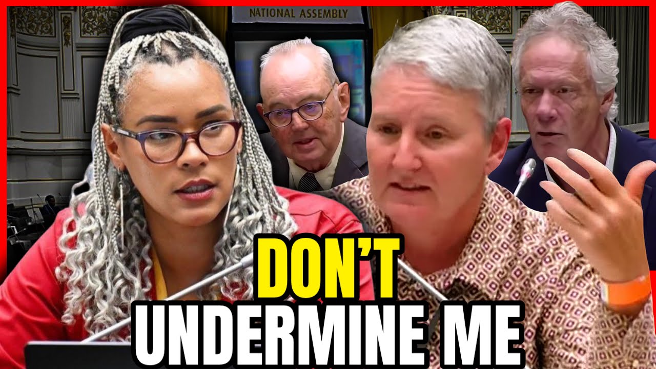 🔥 CRASH at the Ad Hoc Committee | Hon. Mathys EXPLODES in Anger!