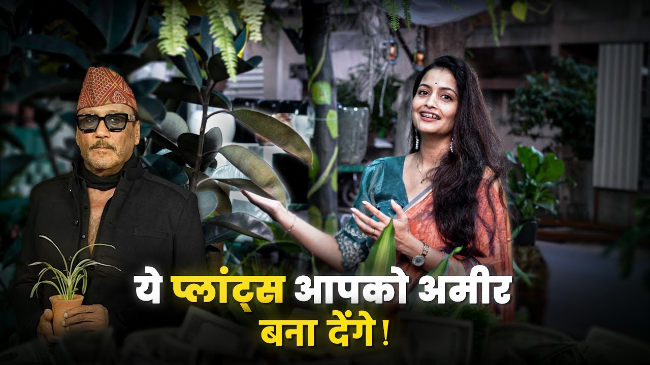 10 Vastu Plants That Can Change Your Life | Money, Health & Happiness Secrets