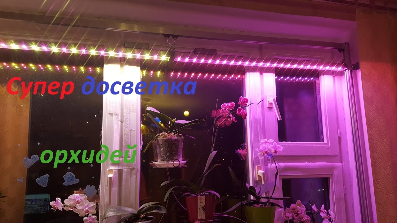 Супер досветка для орхидей