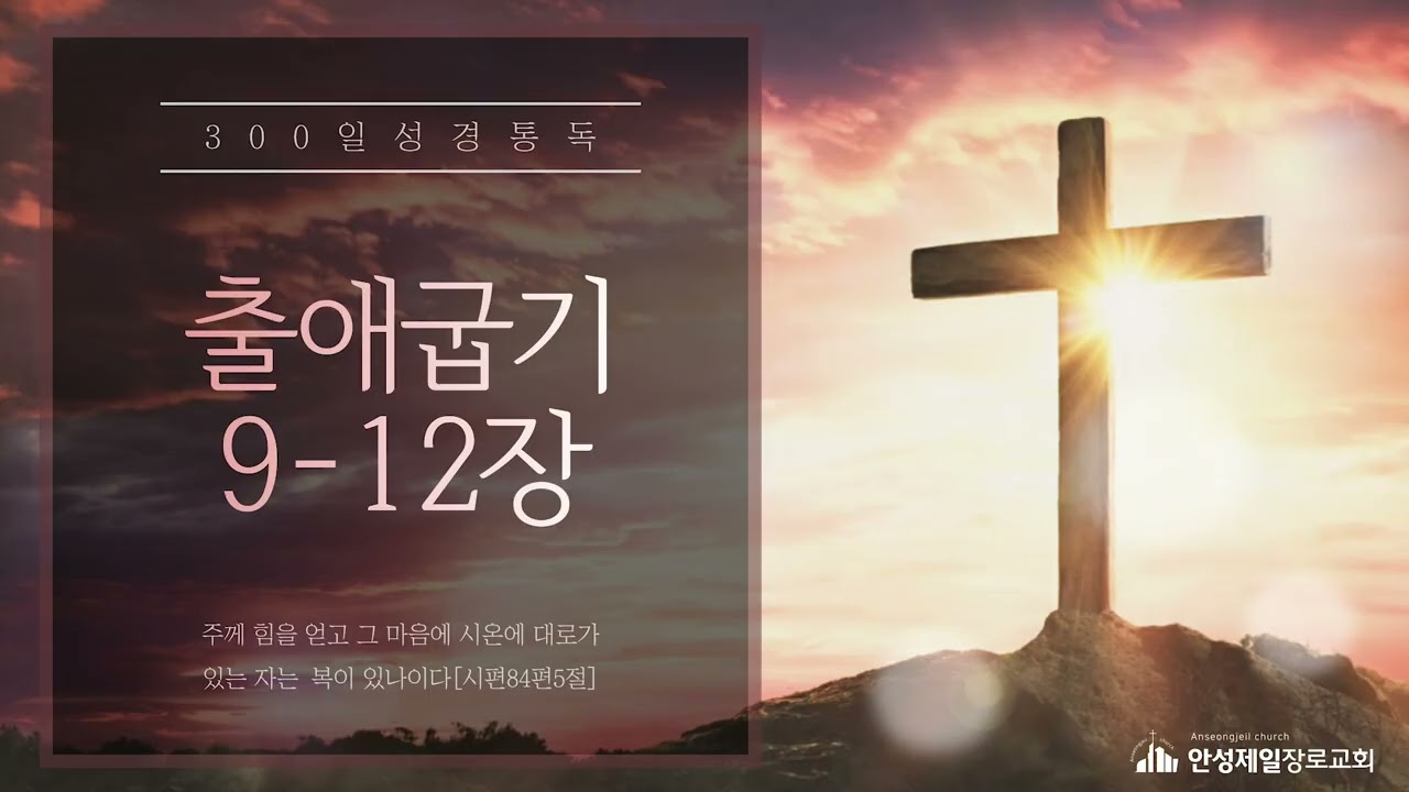 300일 성경통독[출애굽기 9-12장]