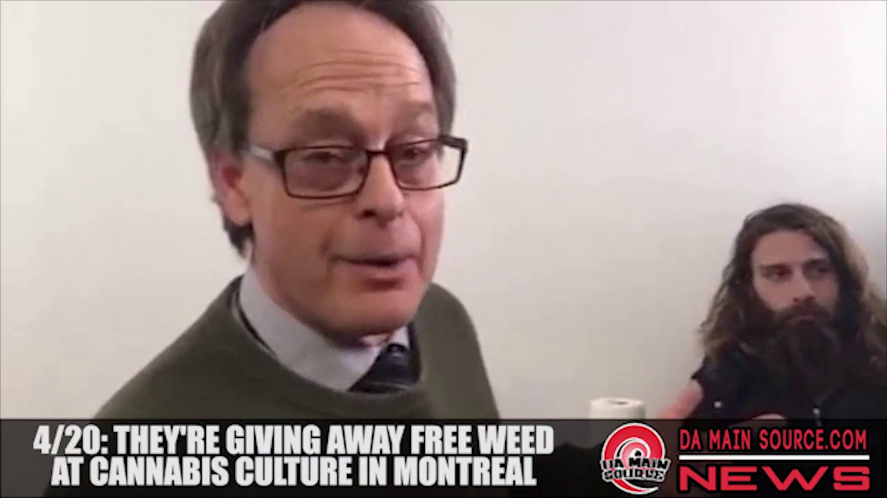 Cannabis Culture MONTREAL: THE STORES ARE OPEN, 8 DIFFERENT LOCATIONS -