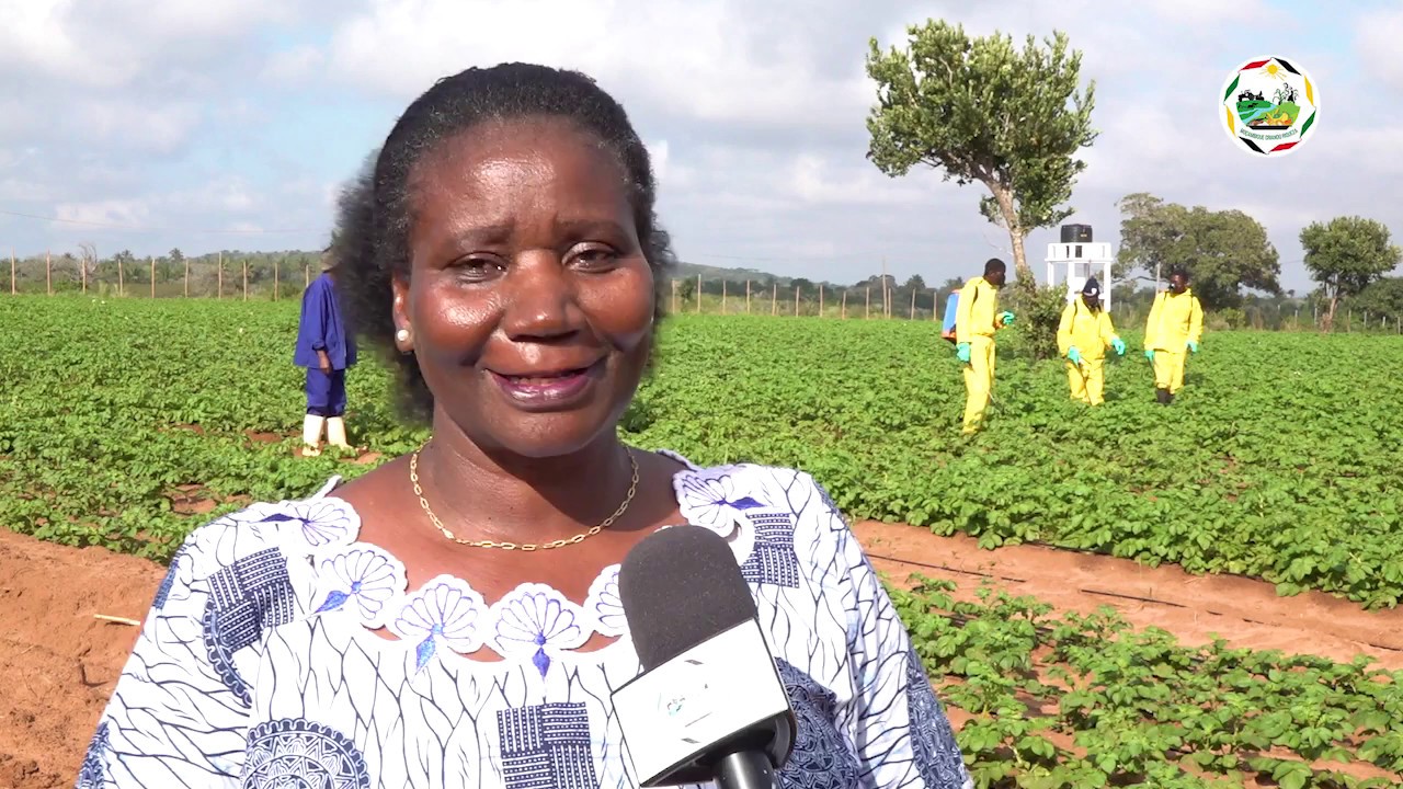CN Farma é uma propriedade agropecuária instalada na província de Inhambane