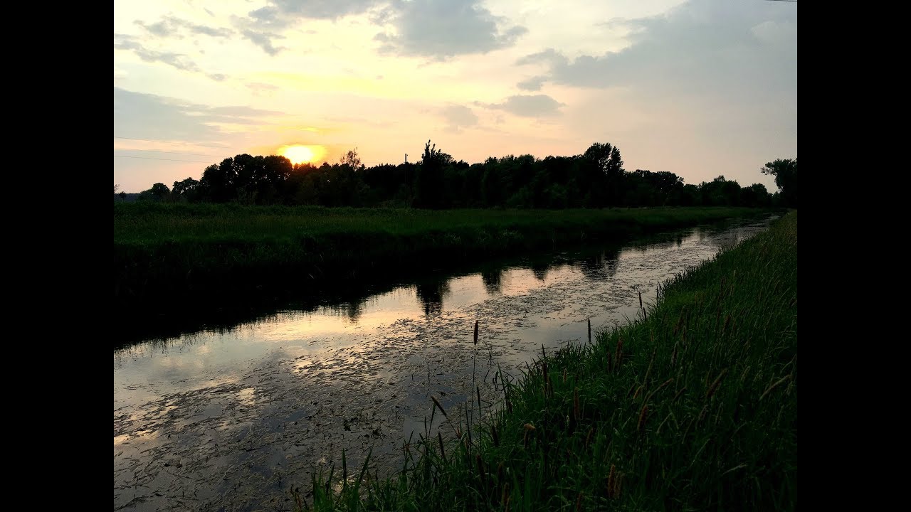 Steigende Bachforellen am Wiesenbach fangen | FliegenfischenTV