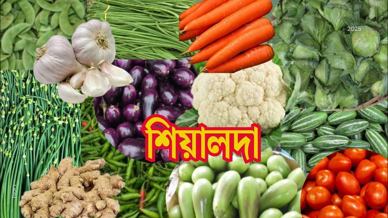 একই ভিডিওতে সবজি সহ আদা রসুনের দাম | Sealdah Koley Market | Wholesale Vegetable Market in Kolkata |