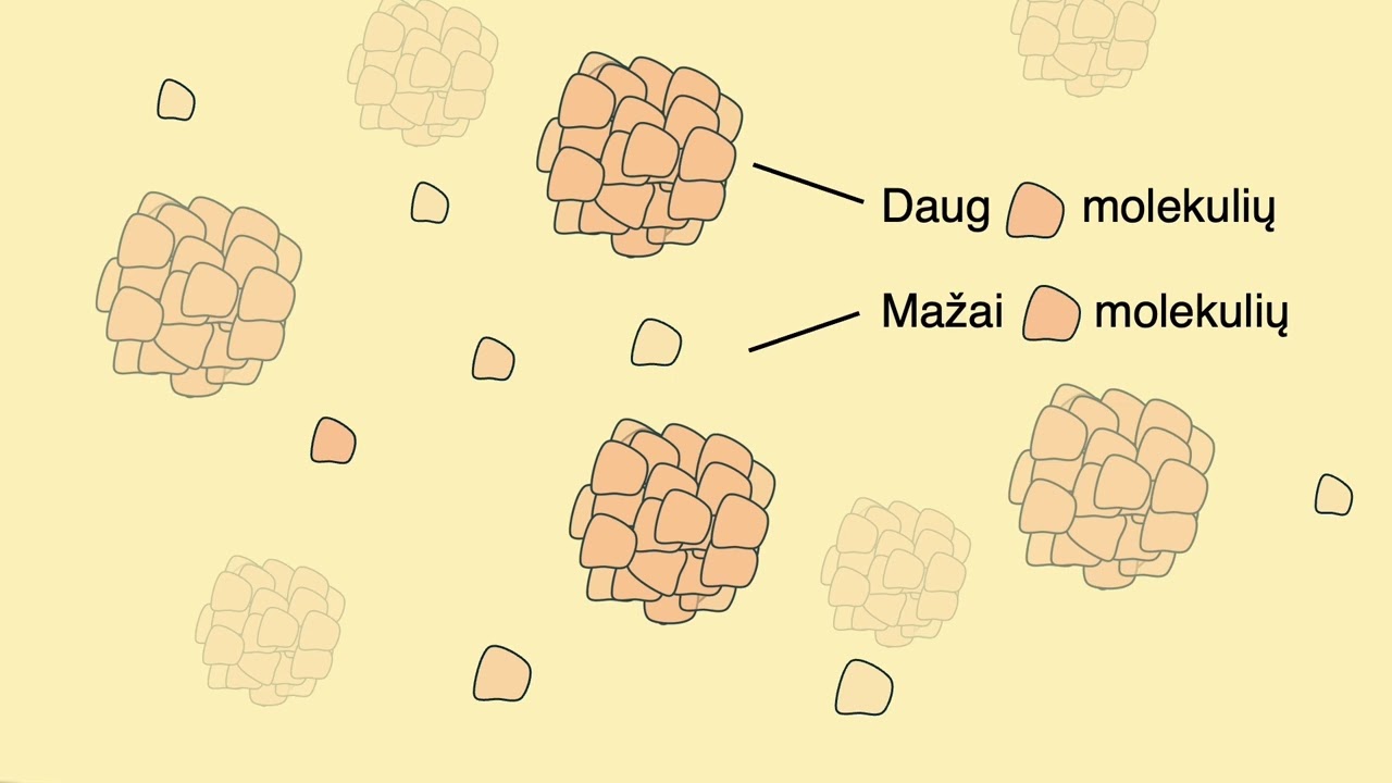 #ŽiniosLietuvai: Ieva iš Heidelbergo universiteto apie apie streso granules ląstelėse