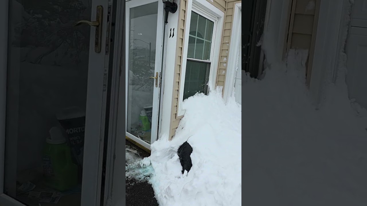 Blizzard of 2026