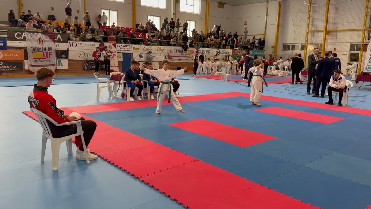 TAEKWONDO ALTEA 01.03.2026#taekwondo #taekwondotradicional 
