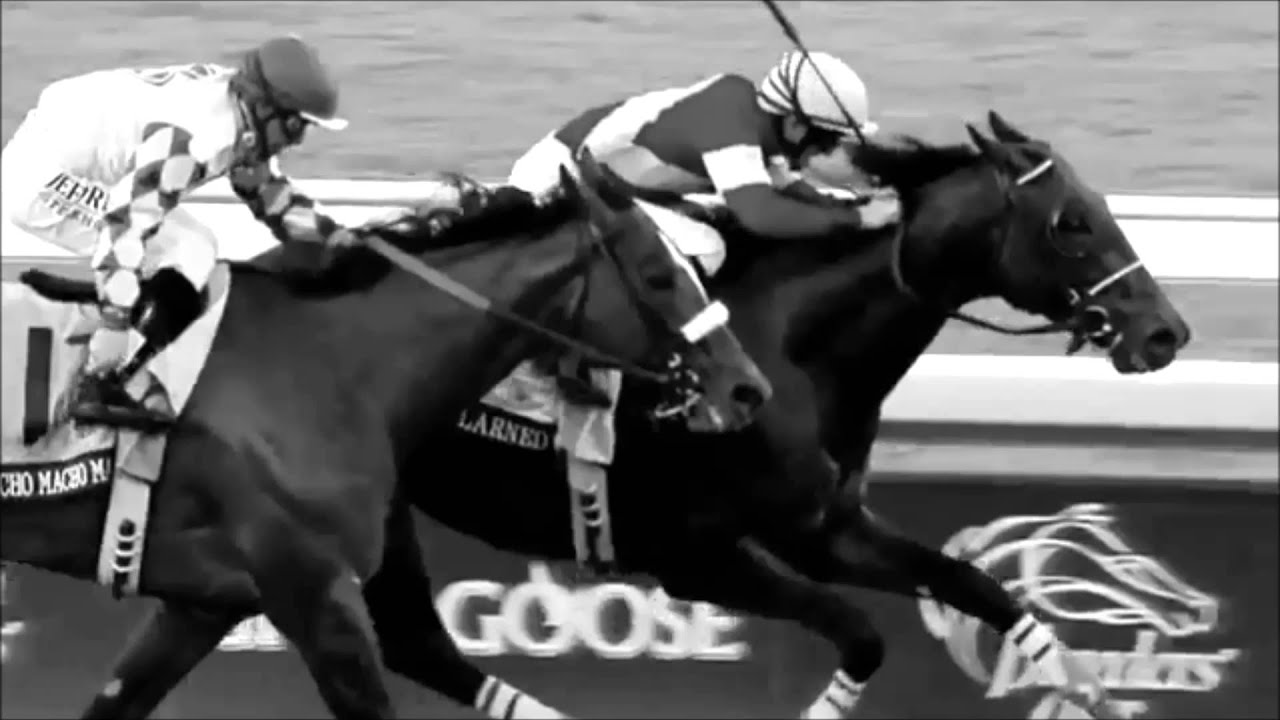 Horse Racing Commercial