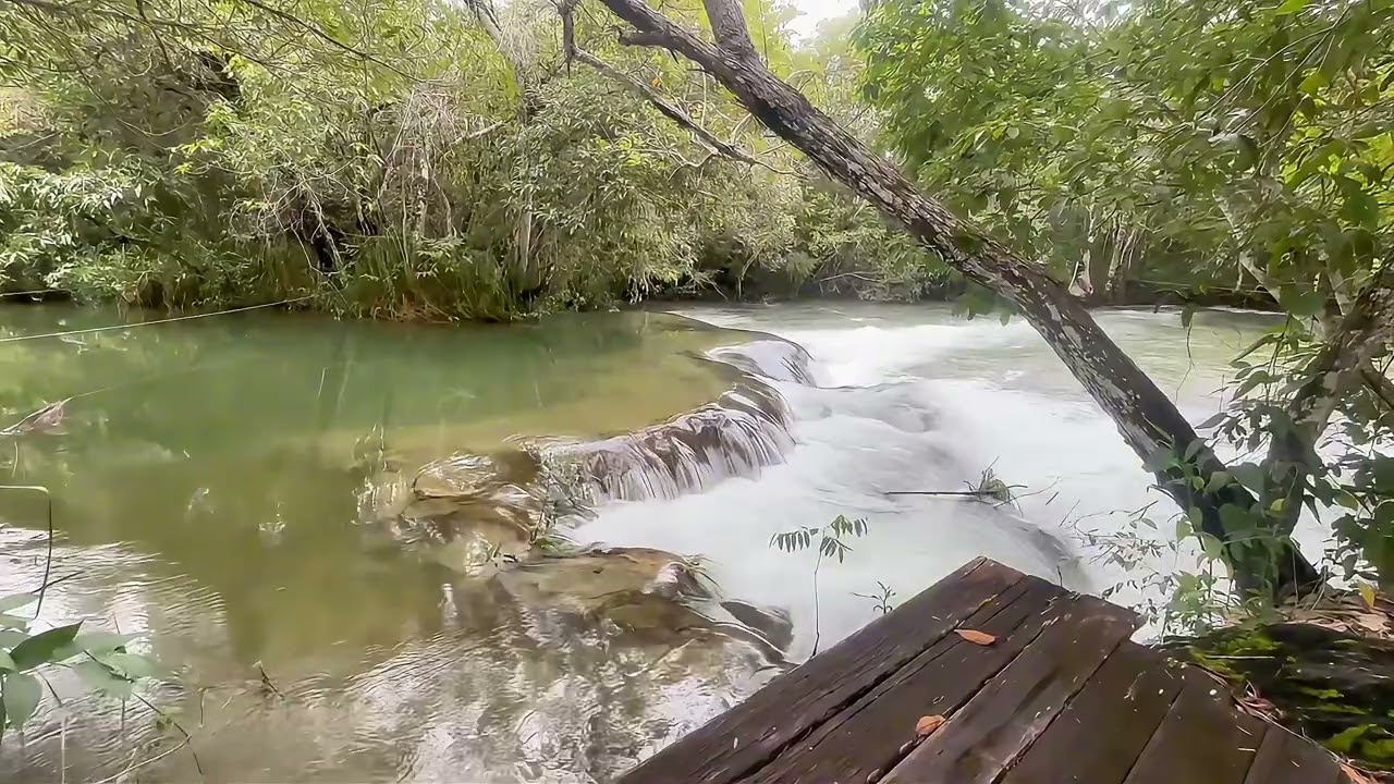Som de natureza Água Correndo no Rio para Relaxar, Meditar e Dormir Asmr.