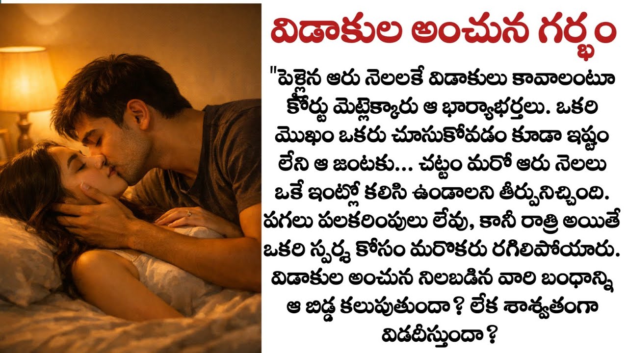 విడాకుల అంచున గర్భం full story| Heart touching story| Husband and wife story| Quotes