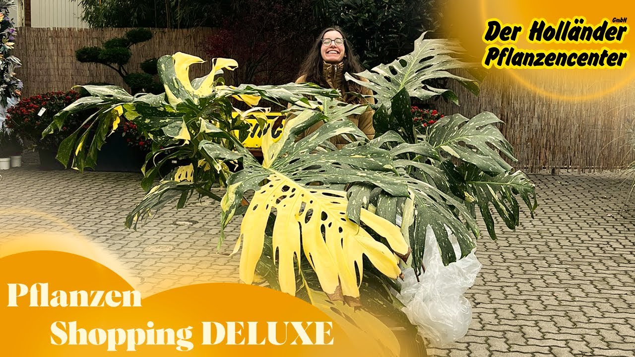 PFLANZEN SHOPPING 😍 Das beste Gartencenter Berlins - Monstera & mehr beim Holländer!
