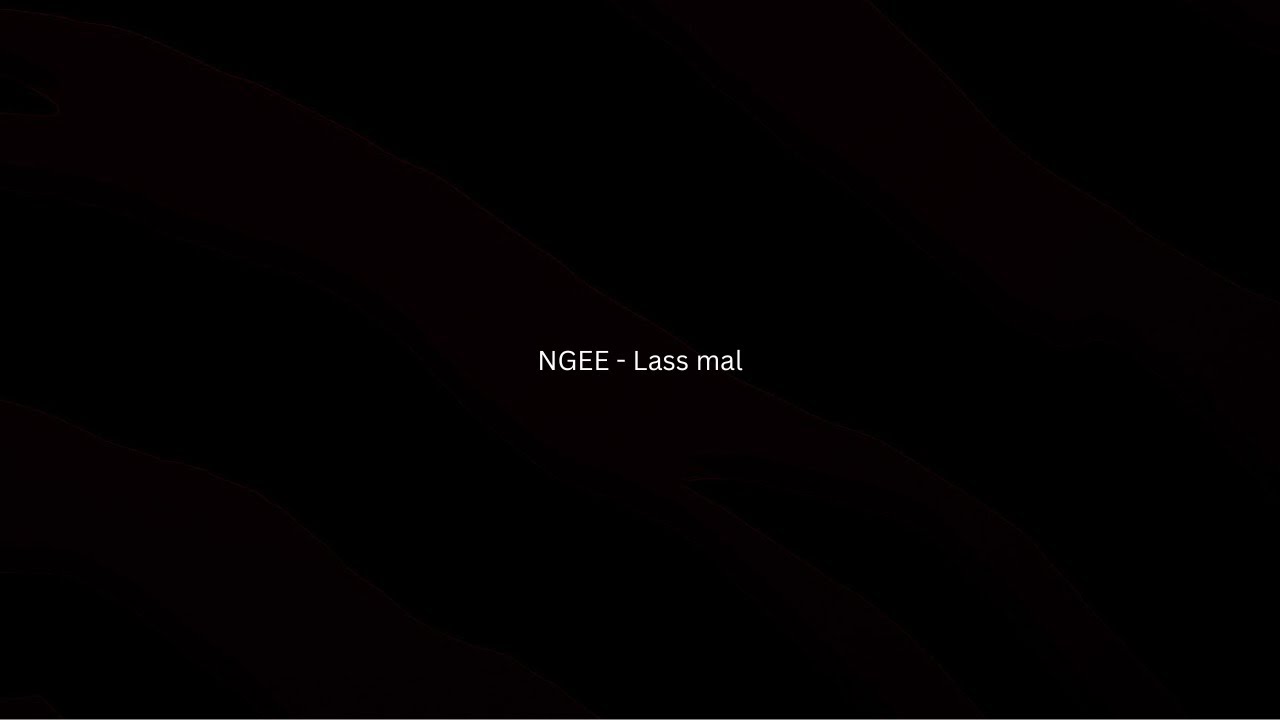 NGEE - Lass mal Lyrics