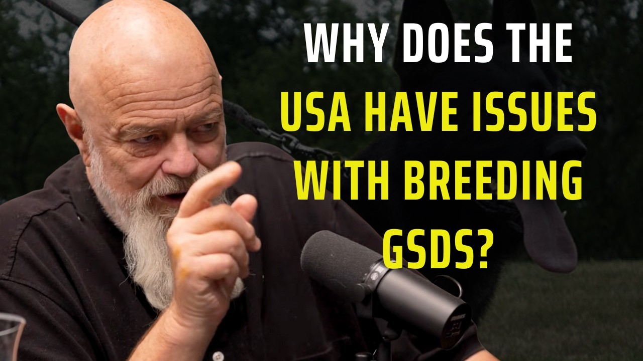 Why USA breeders have to refresh their breeding stocks with GSDs from Europe?
