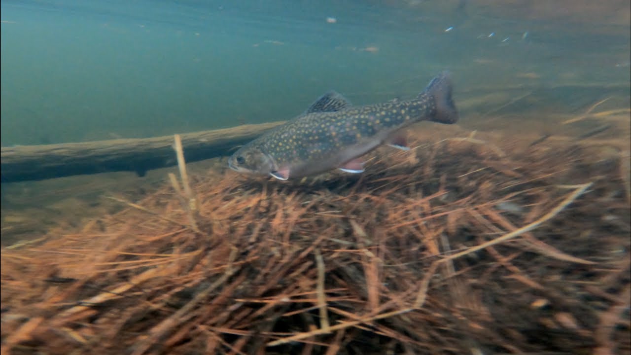 Fishing Across Nova Scotia's Counties