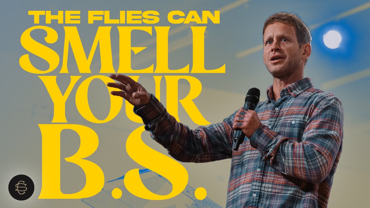 The Flies that Follow You - Seth Dahl