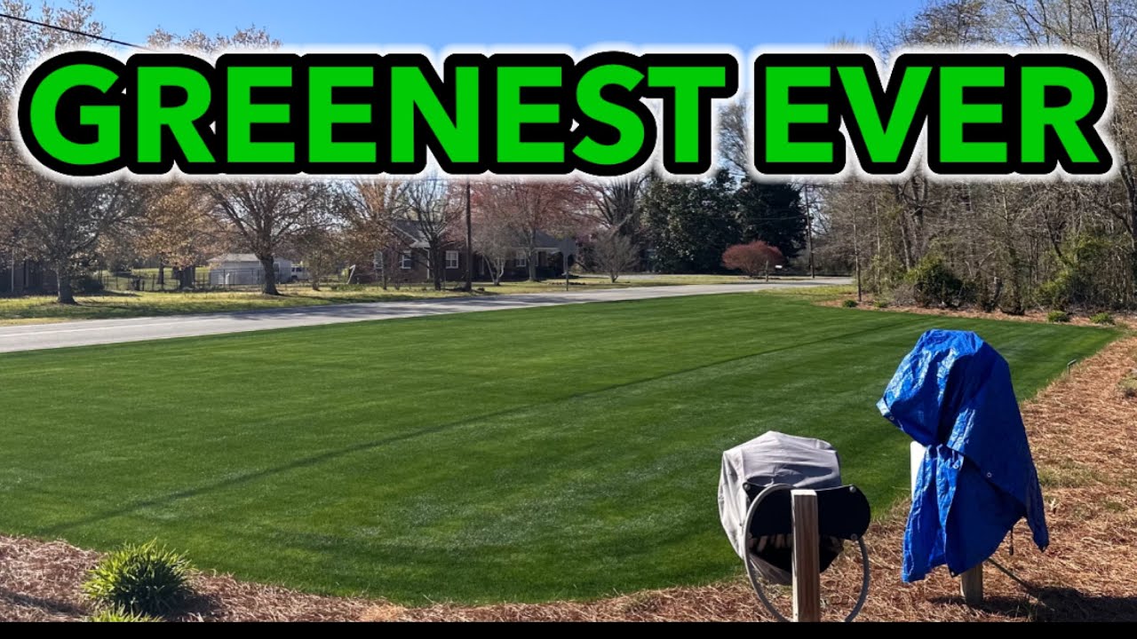 Fix Brown Spots in Grass Brown Grass to GREEN Grass