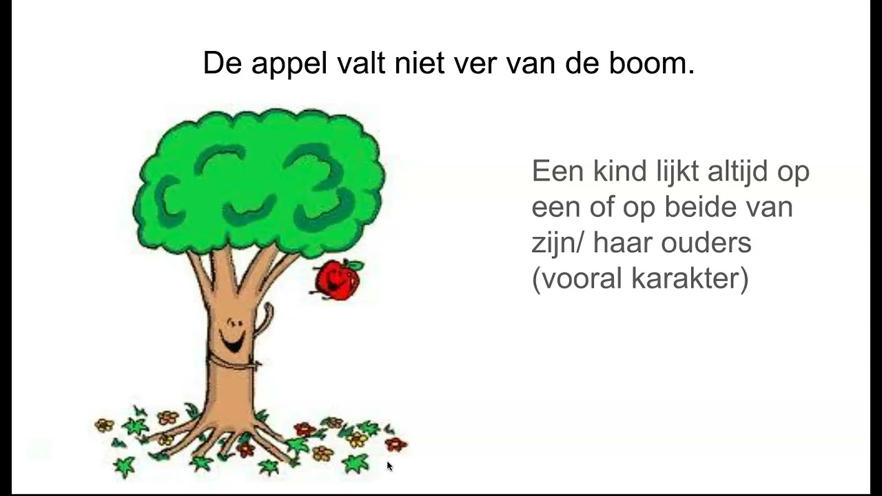 Spreekwoorden in het Nederlands 1