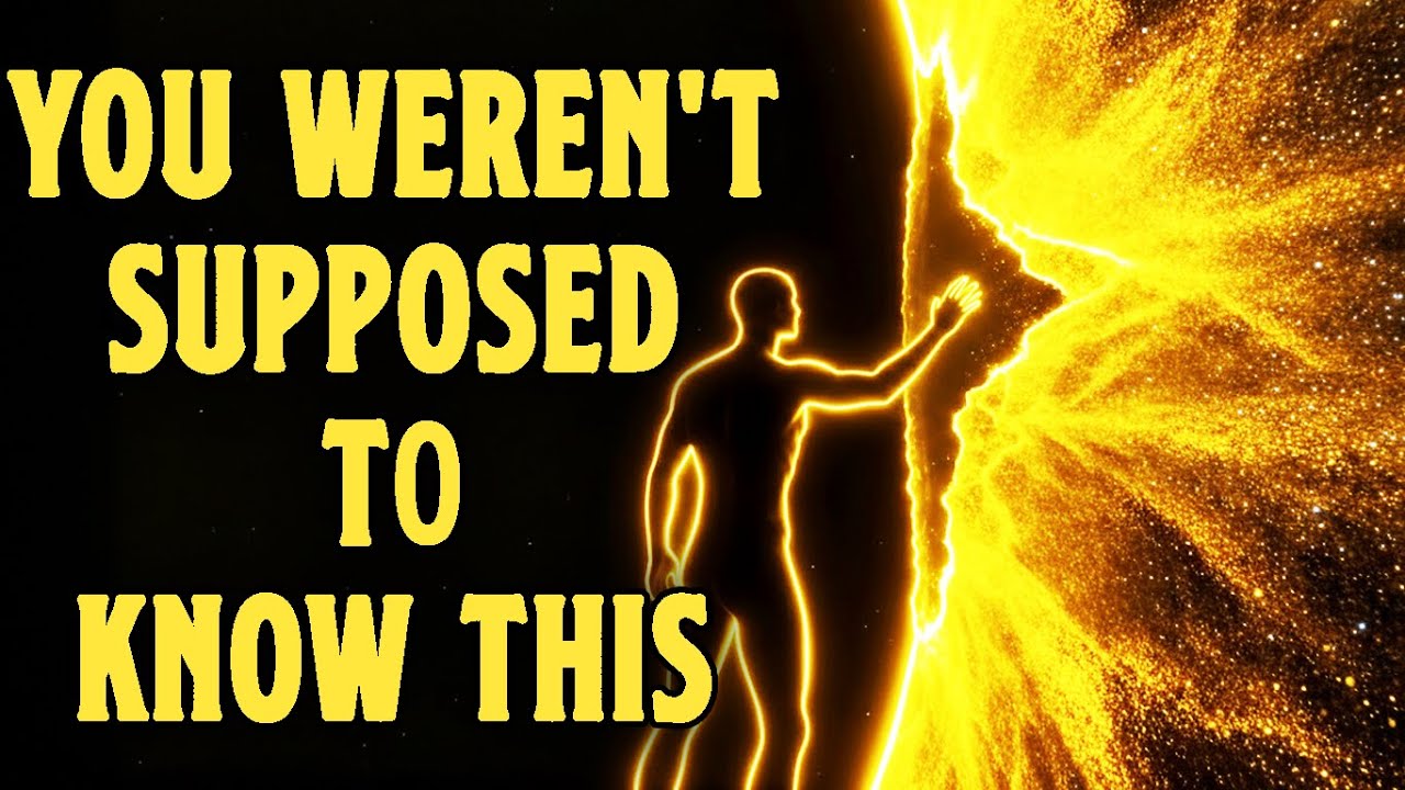 The Quantum Field Isn't Supposed to Let You See This (You Were Right All Along) | Observer Effect 24