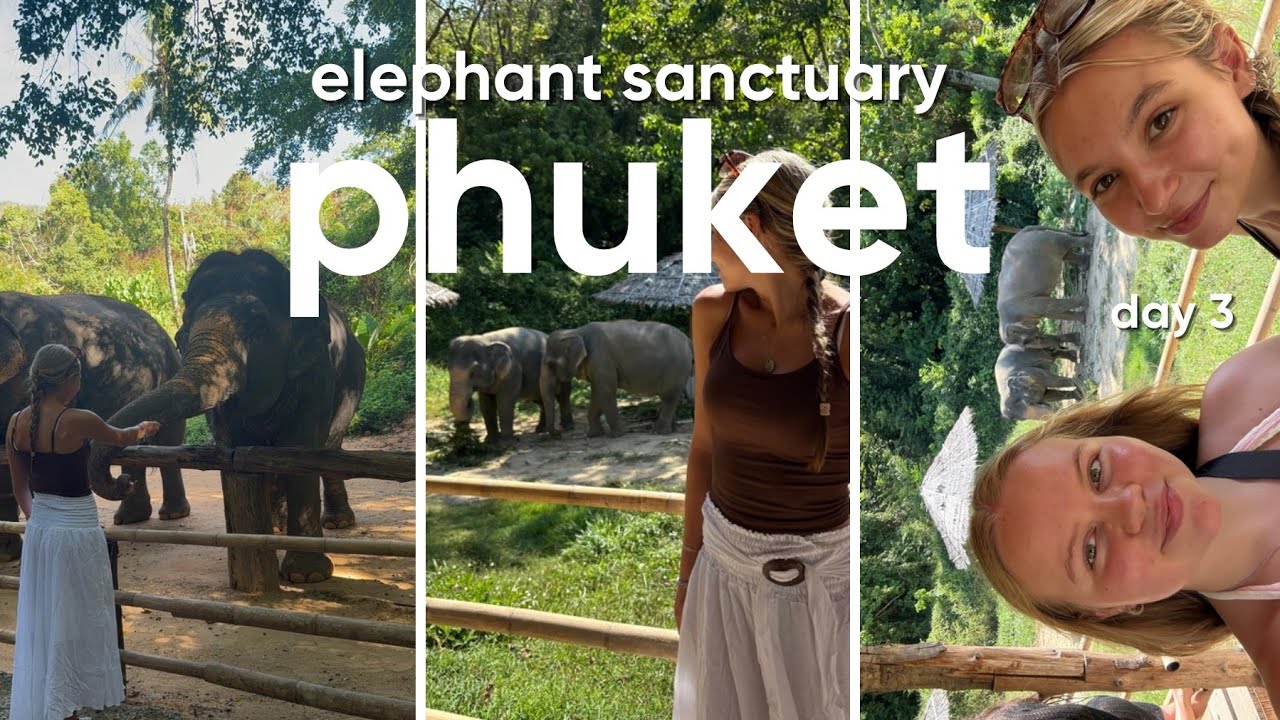 PHUKET DAY 3🐘hidden forest elephant sanctuary 