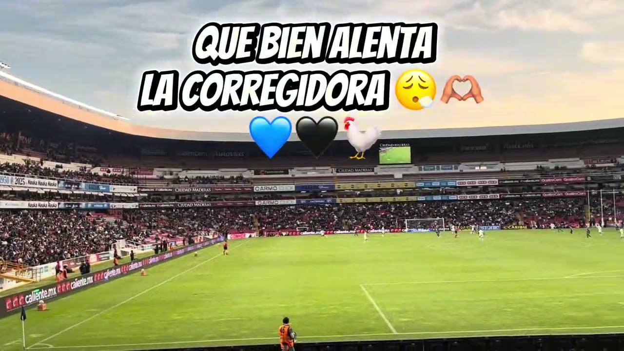 ¿Que paso al final? 💙🖤🐓🥵🤯🤷🏽‍♂️🤦🏽‍♂️ 0-0 Gallos Blancos 🆚 Pachuca ⚒️ 