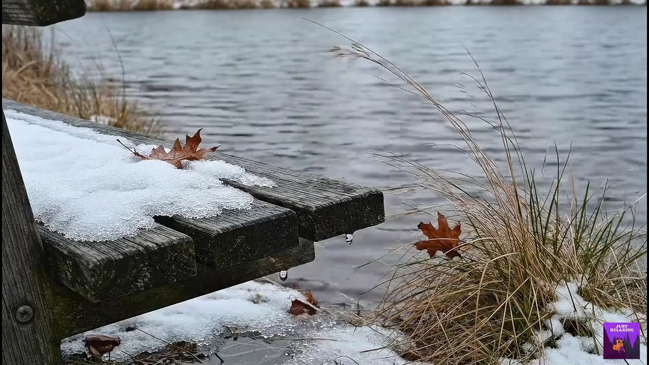 February Blues | Calming Music for Stress Relief & Focus