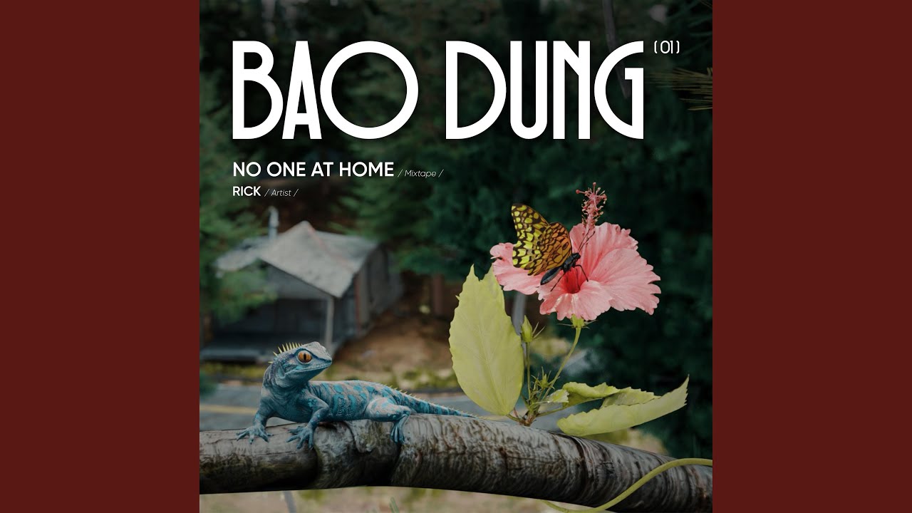 BAO DUNG