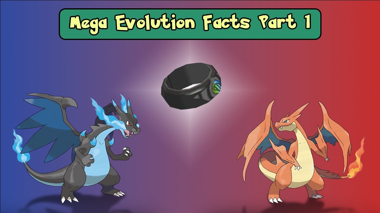 XY Mega Facts