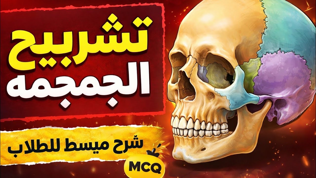 🚫قبل أن تدرس التشريح  | Anatomy of Skull