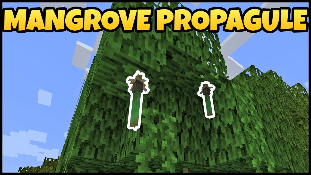 How To Get MANGROVE PROPAGULE In MINECRAFT