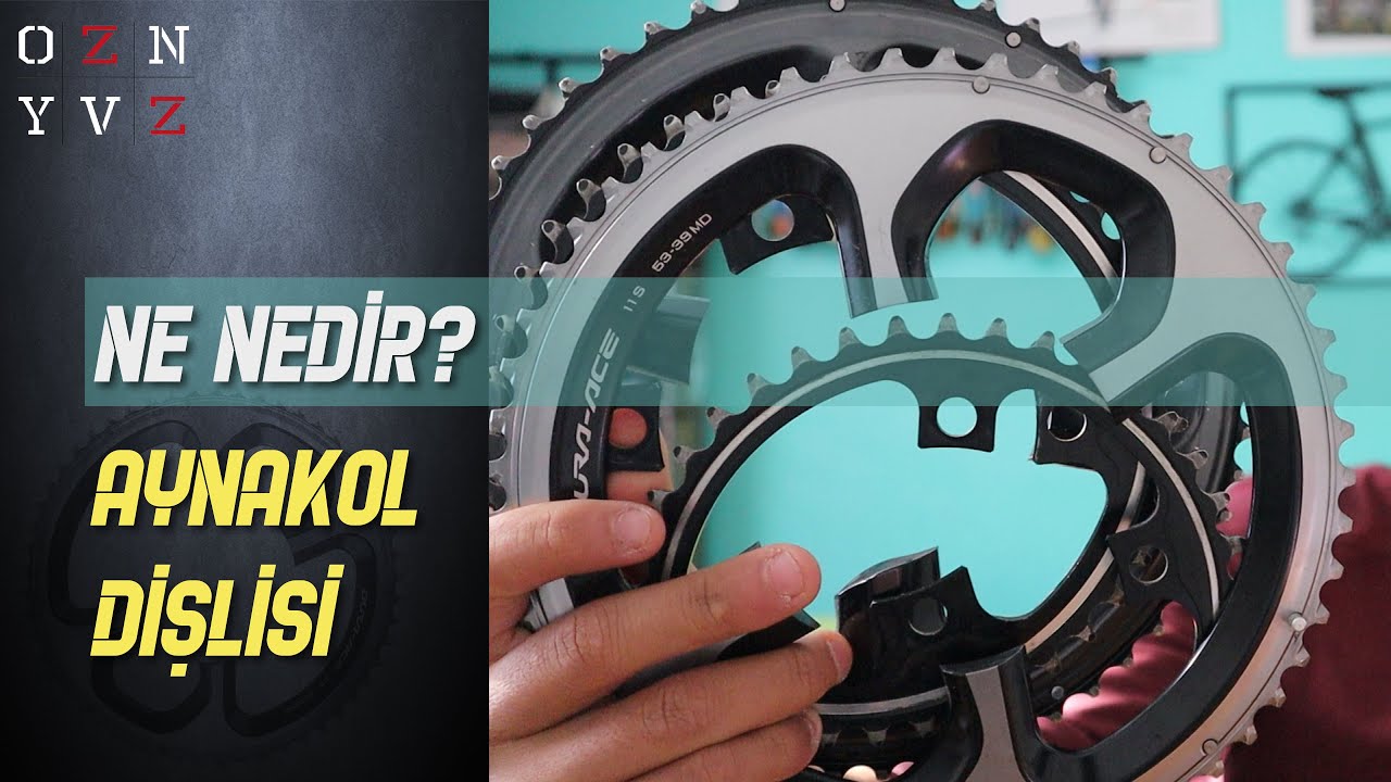 NE NEDİR || AYNAKOL DİŞLİSİ || OZAN YAVUZ