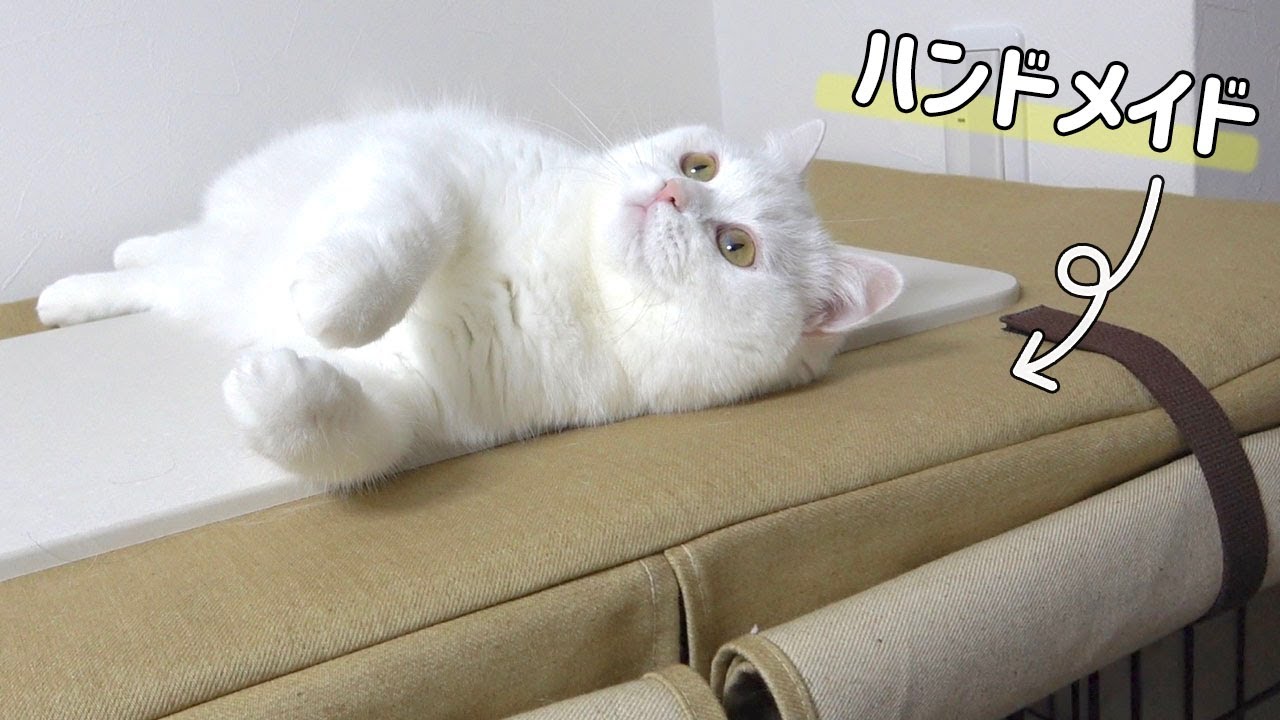 猫ケージの目隠しカーテンを可愛く手作りしてみた！
