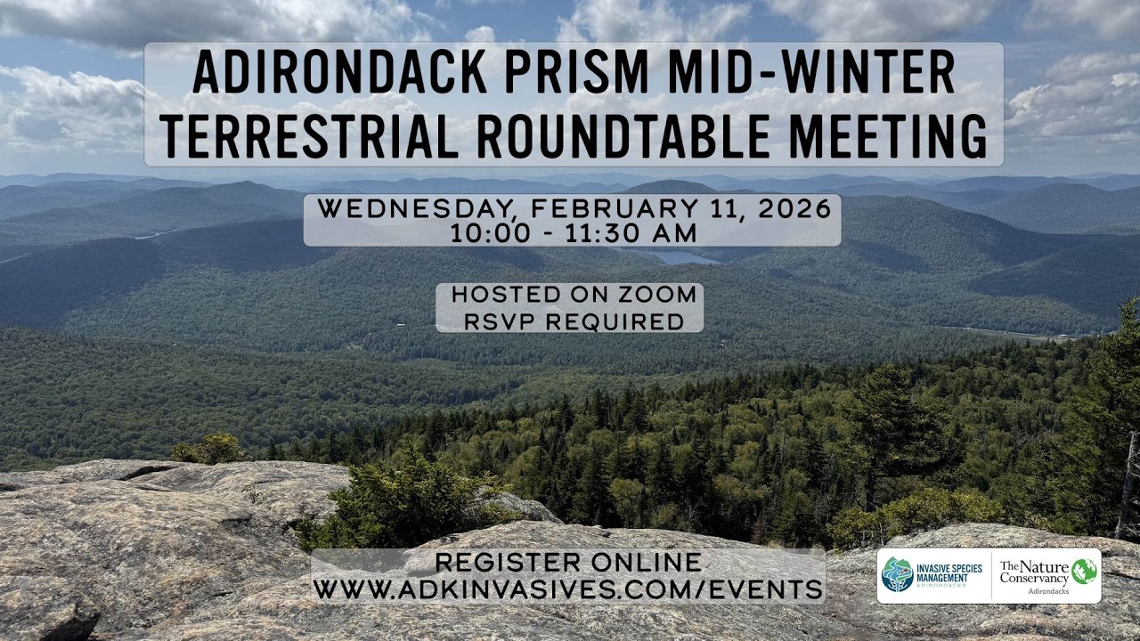 2026 Adirondack PRISM Mid-Winter Terrestrial Roundtable Meeting