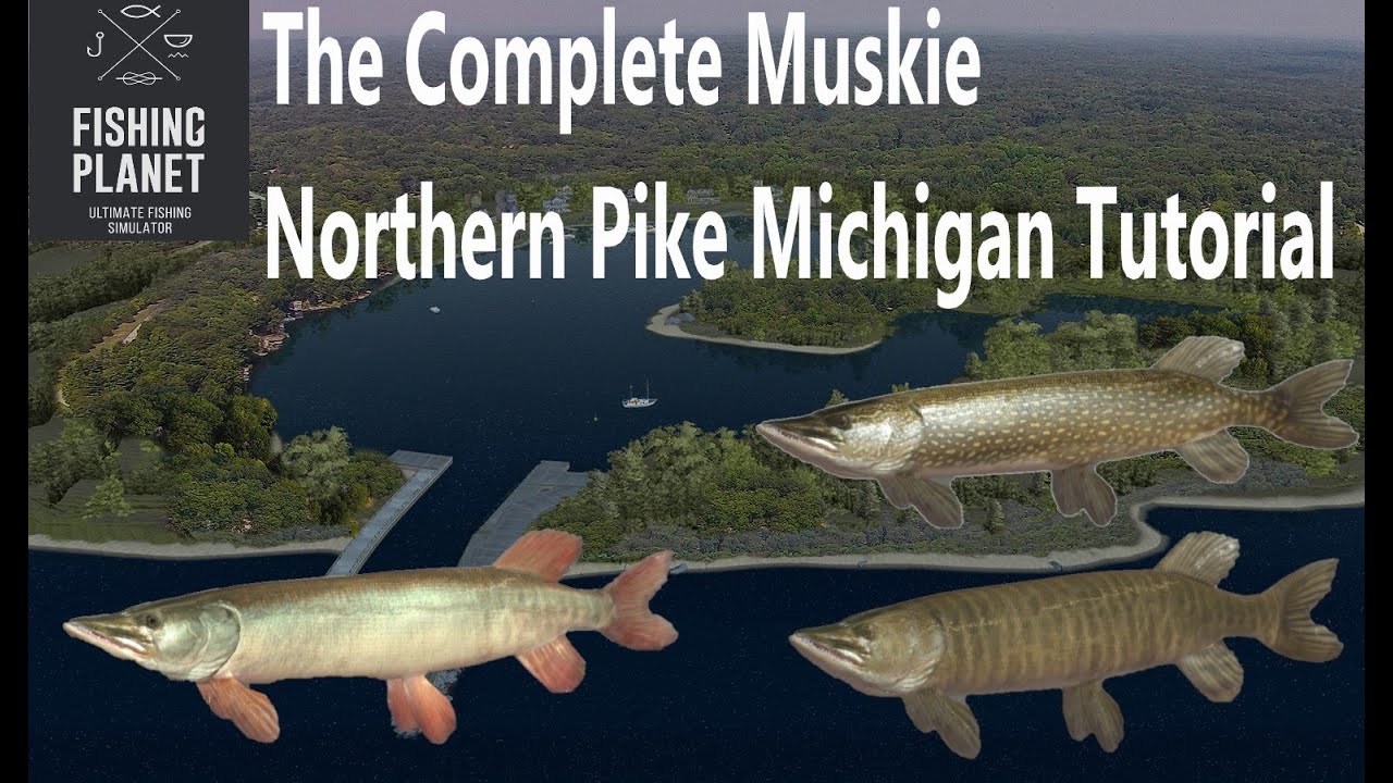 Fishing Planet, The Complete Muskie, Northern Pike Michigan Tutorial