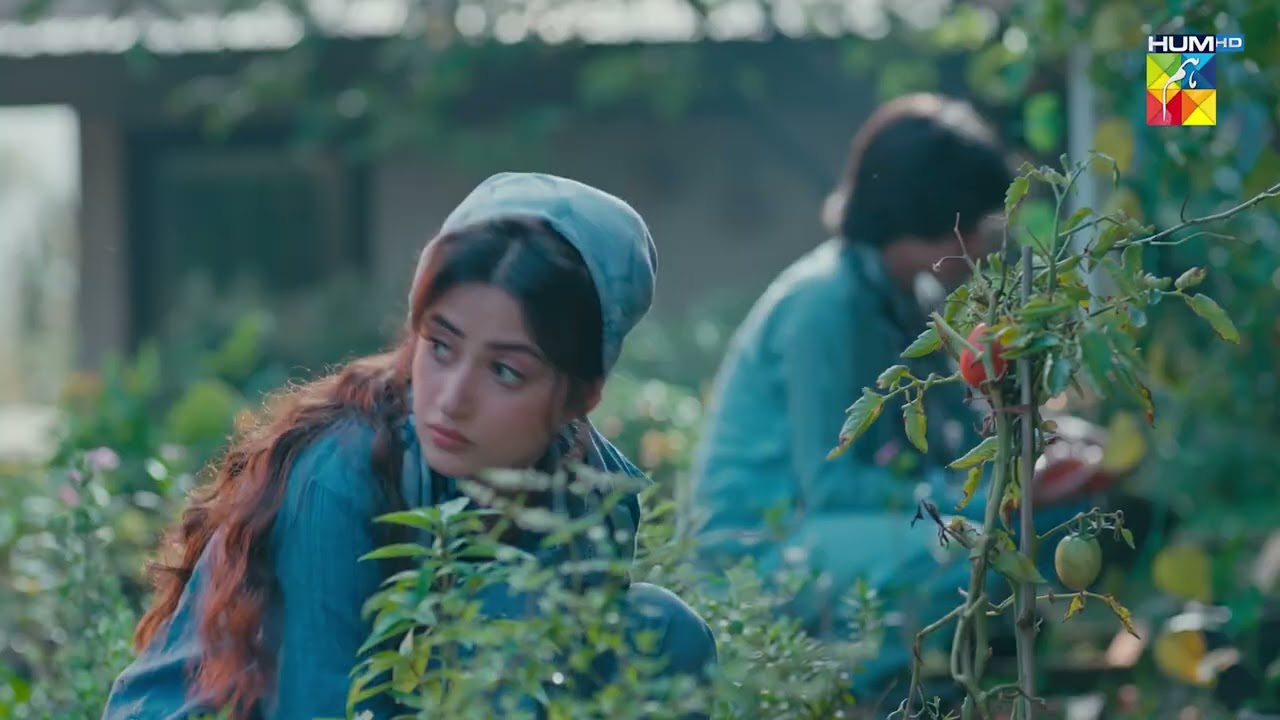 Zanjeerain Ep 02 Promo | Tomorrow at 9 PM (On Youtube) ft. Sajal Aly, Ameer Gilani & Danyal Zafar