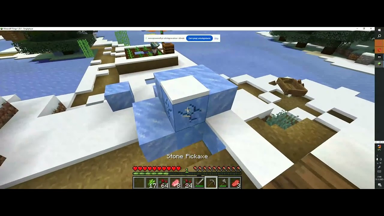 minecraft niezwykły