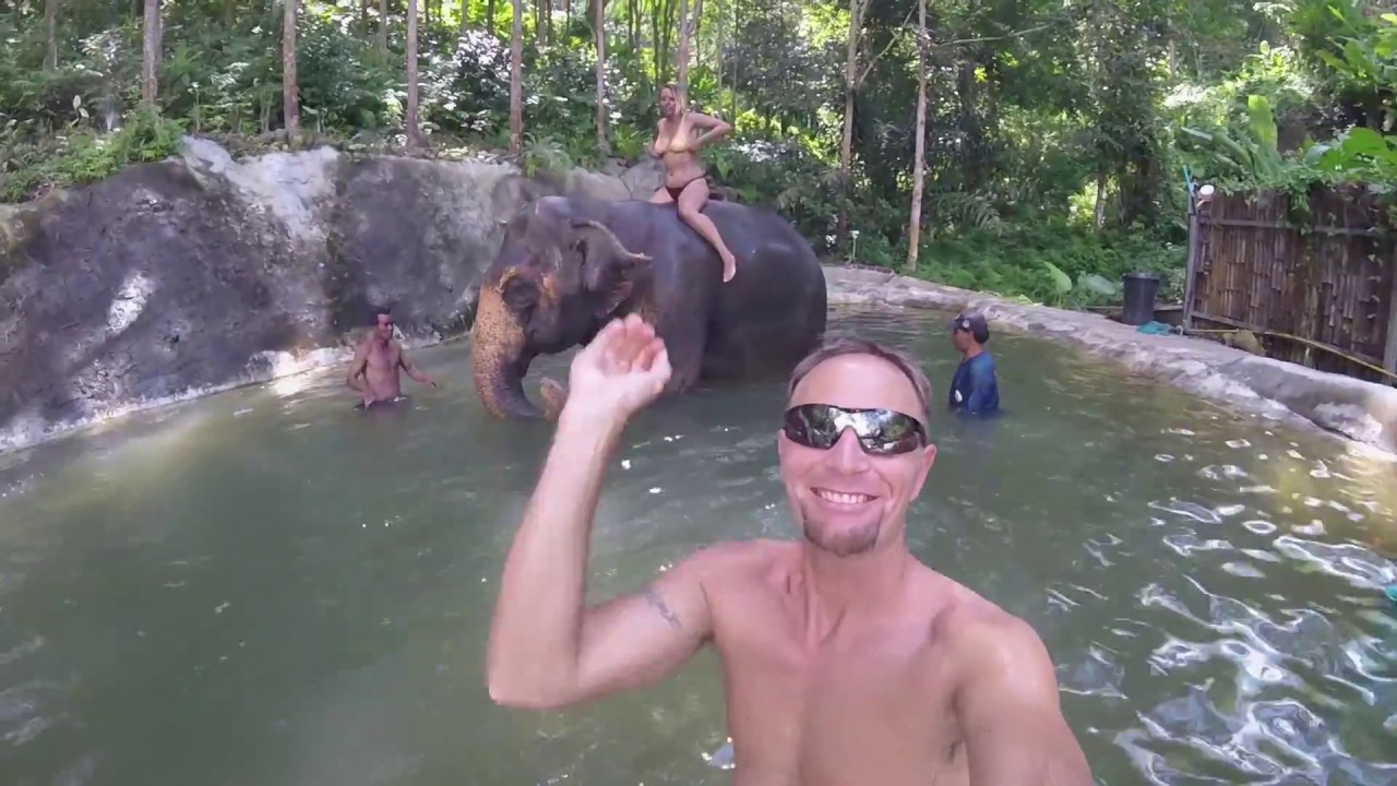 riding an elephant ! amazing bath in Thailand vacation 2019