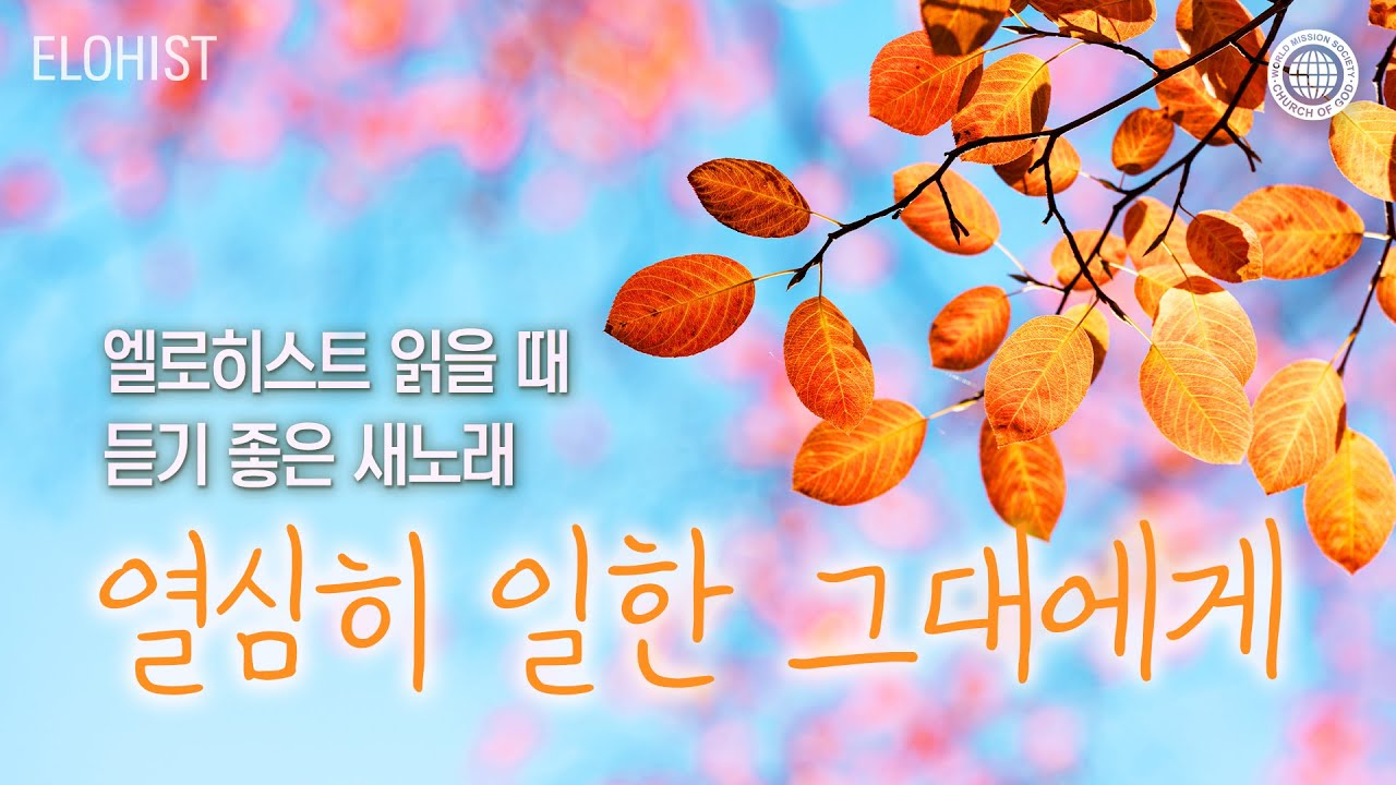 엘로히스트 읽을 때 듣기 좋은 새노래 #11│2025