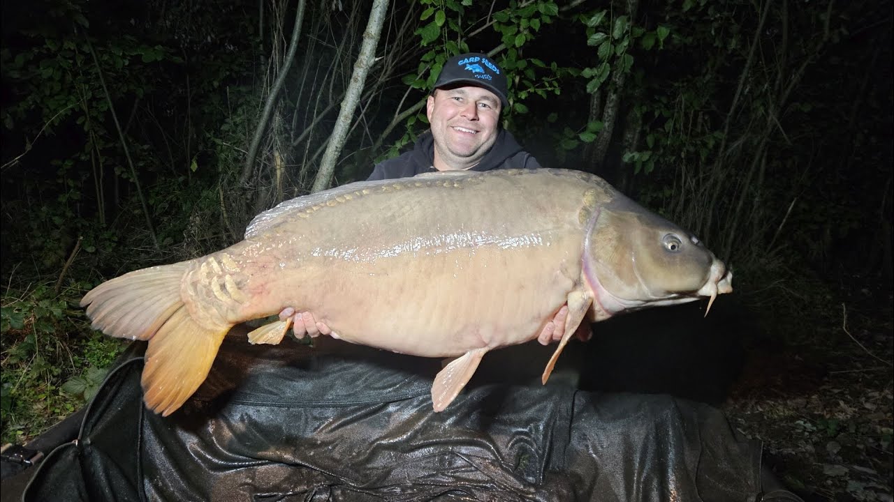 Nowe PB - Karp 27,600 kg, Dzika Woda, Webasto, ogrzewanie namiotu,