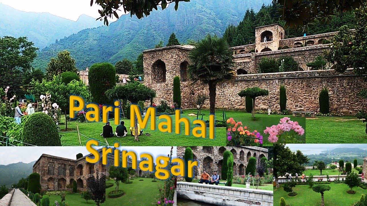 Kashmir-Pari Mahal day Walk-Place to visit|Srinagar,HDVideo Kashmir in summer #mugalgarden