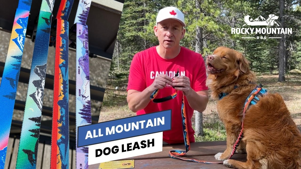 All Mountain Dog Leash