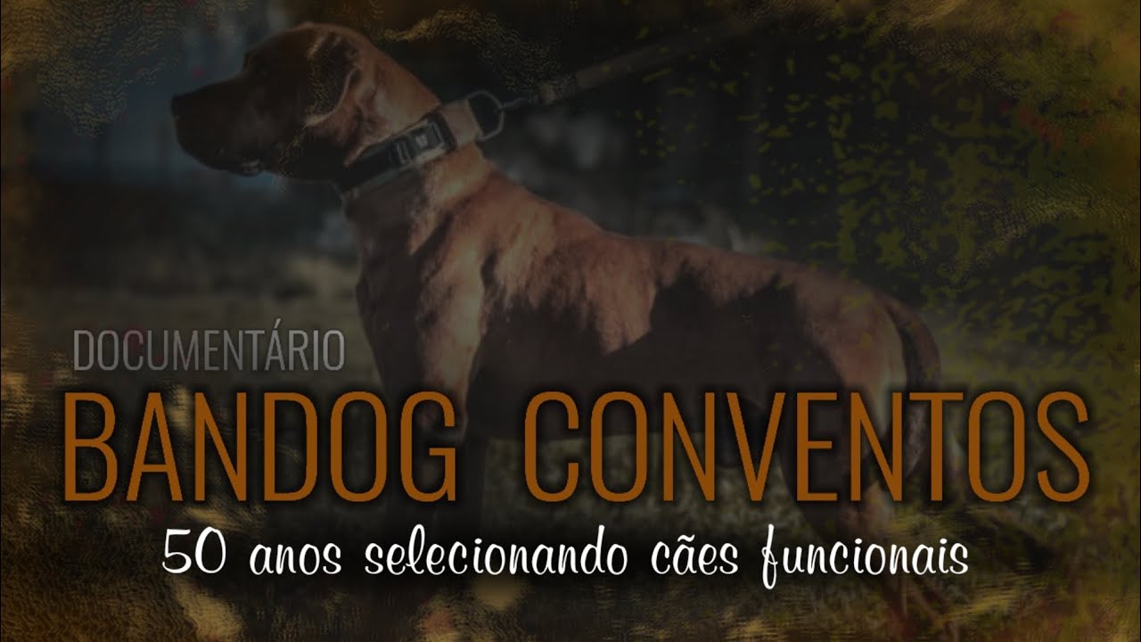 [parte 1]  Documentário: CONVENTOS BANDOG, A ORIGEM.  50 anos