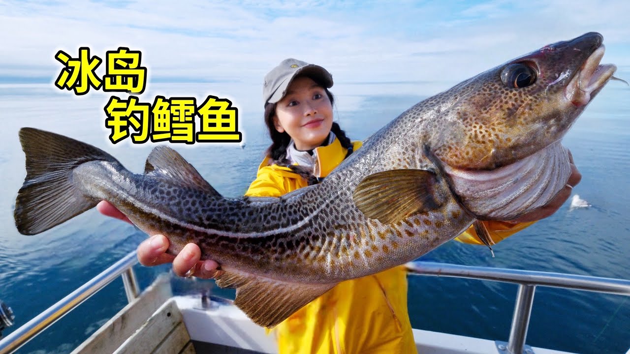 冰岛鳕鱼现钓现吃，一条重20斤，做炸鱼酥脆多汁！| 冰島 | 釣魚 | 鳕鱼 | 海鮮 | 北歐 |