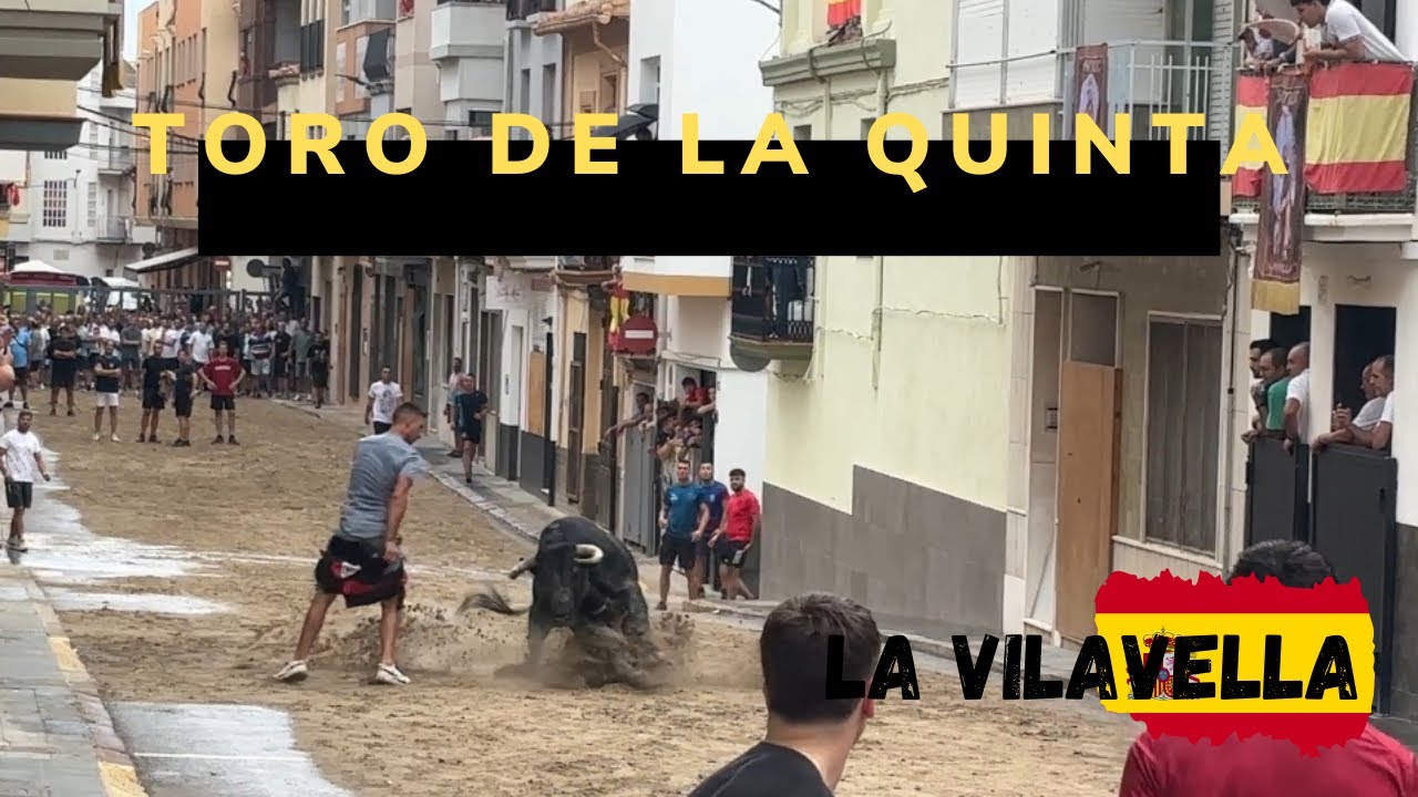 Taureau ➡️ La Vilavella 🇪🇸 18/08/2025 de la célèbre Ganadéria « LA QUINTA » 🔥
